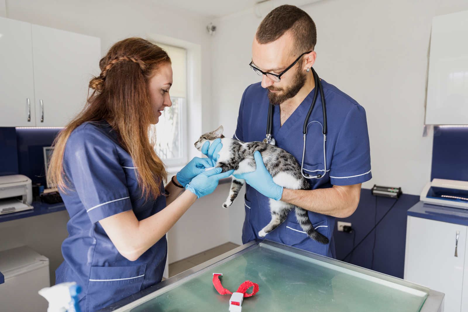 Vetwest Animal Hospitals of Wanneroo