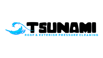 Tsunami Roof & Exterior Pressure Cleaning