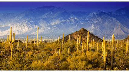 Southern Arizona Endodontics of Tucson