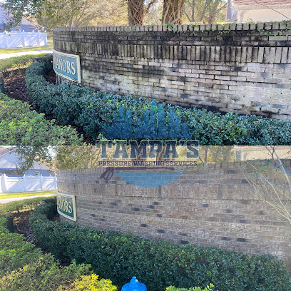 Tampa's Pressure Washing Services Riverview