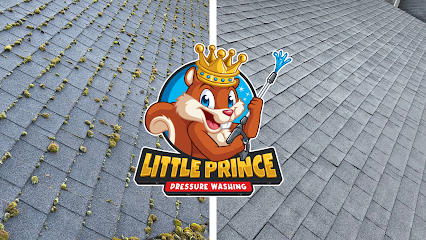 Little Prince Pressure Washing Tigard