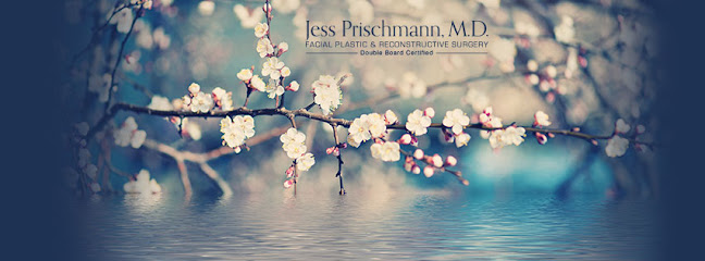 Prischmann Facial Plastic Surgery Edina